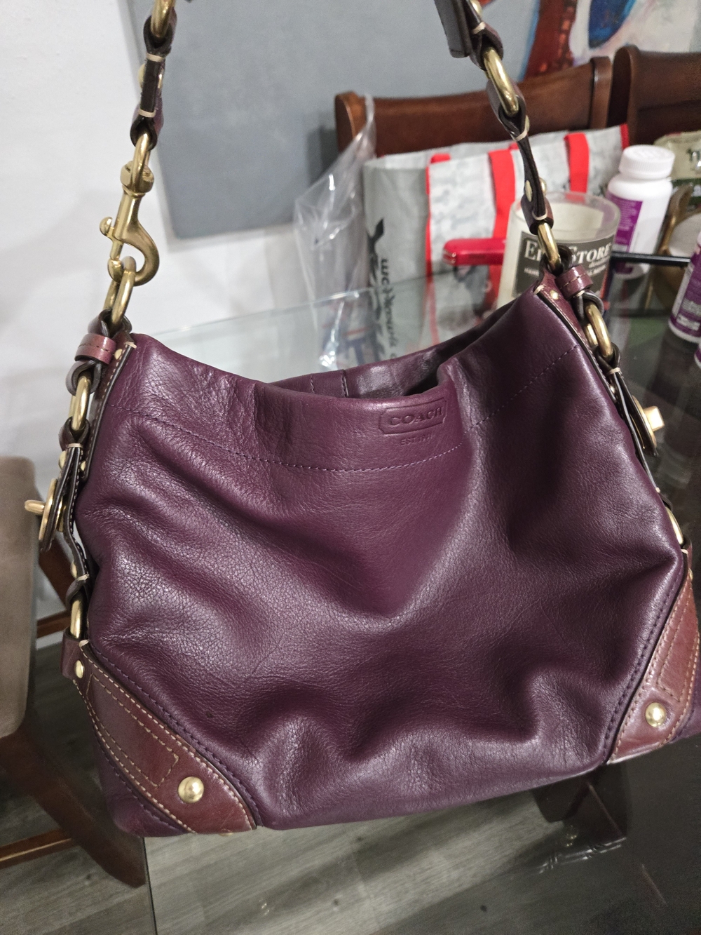 Coach Carly Hobo Bag (Style #10615)